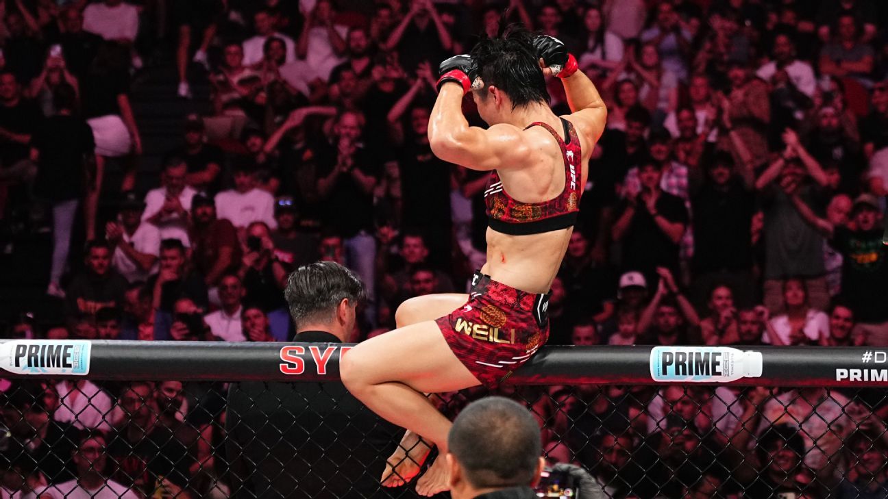 体系庞大且 体系庞大且