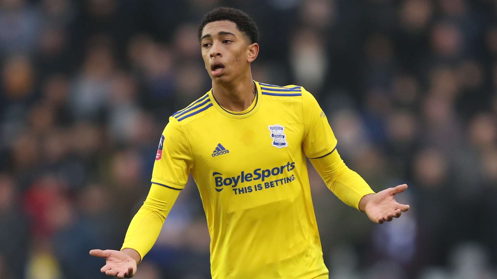 往往会受到 往往会受到