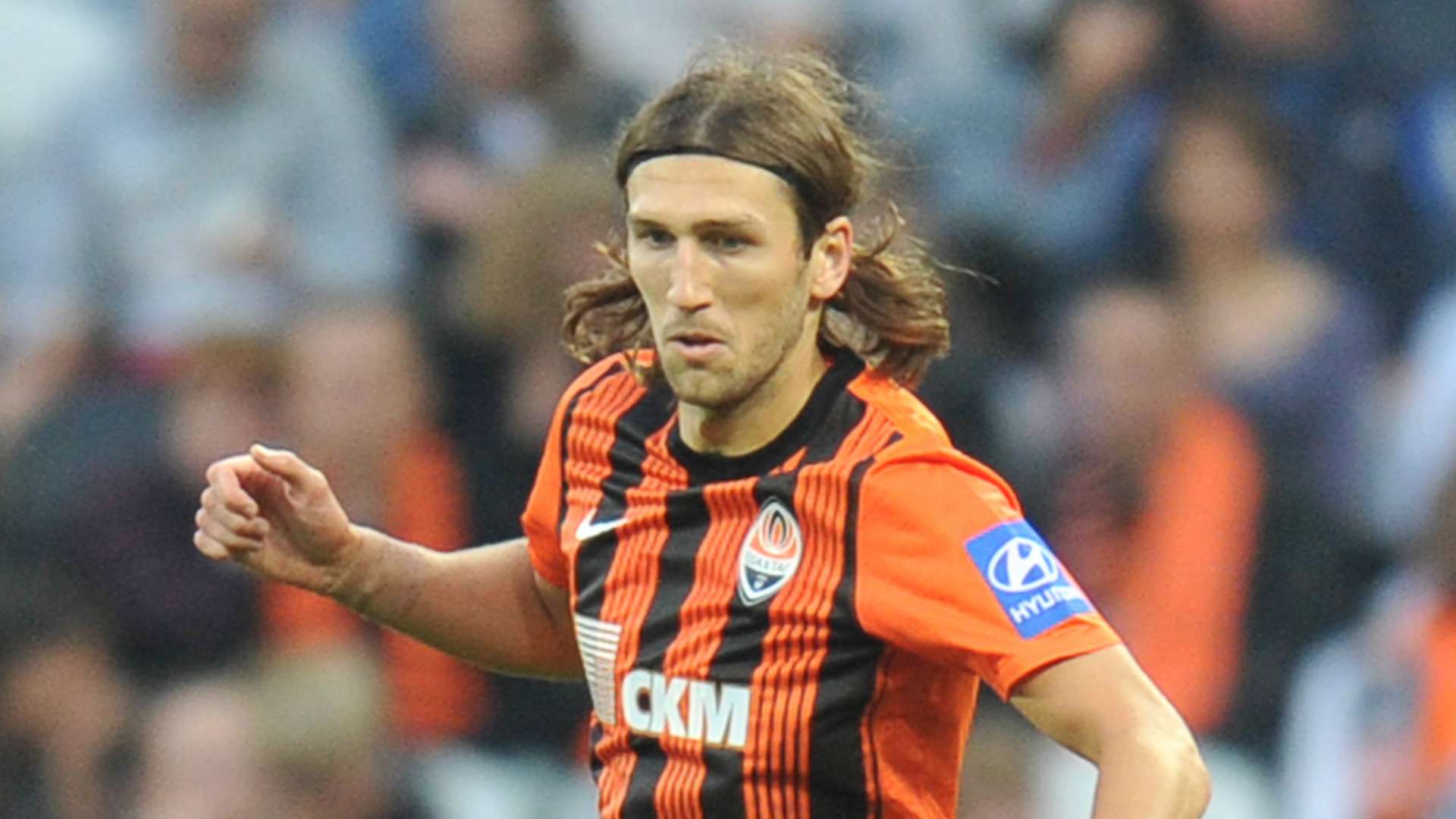 的全面考察 的全面考察