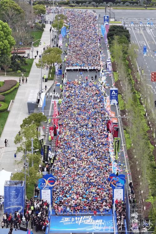 2025嘉兴跑步盛会 2025嘉兴跑步盛会